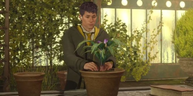 Where To Get Fluxweed Stem In Hogwarts Legacy 