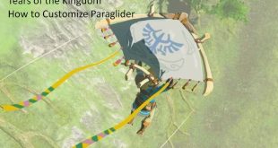 Tears of the Kingdom How To Customize Paraglider