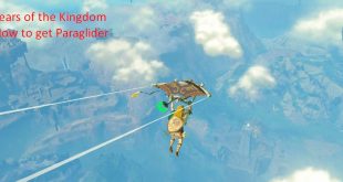 Tears of the Kingdom How To Get Paraglider