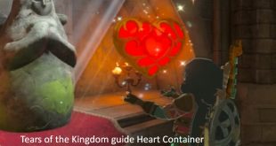 Tears of the Kingdom guide Heart Container